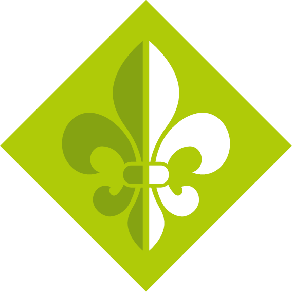 Znak metodyki - harcerze (kolor)